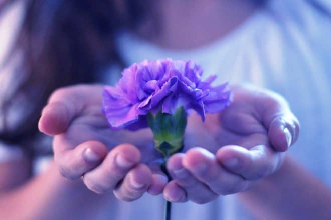 Цветочные гадания: цветы как инструмент предсказания будущего