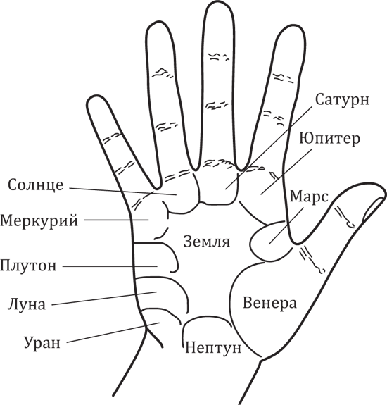 Холм Меркурия на руке: значение и расшифровка