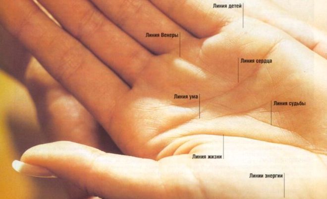Линия жизни в хиромантии: тайные знаки на руке