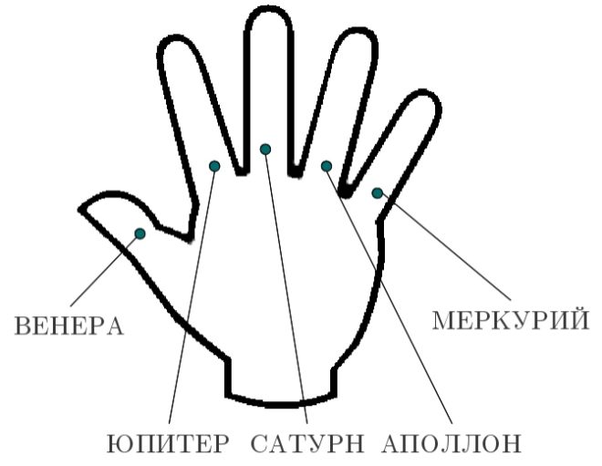 Палец Меркурия - мизинец на руке: значение в хиромантии