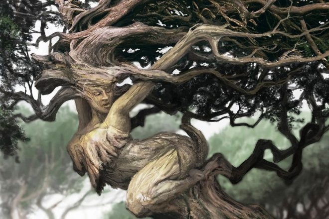 Тайная жизнь деревьев: загадочные факты и предположения
